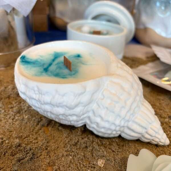 Bougie Coquillage
